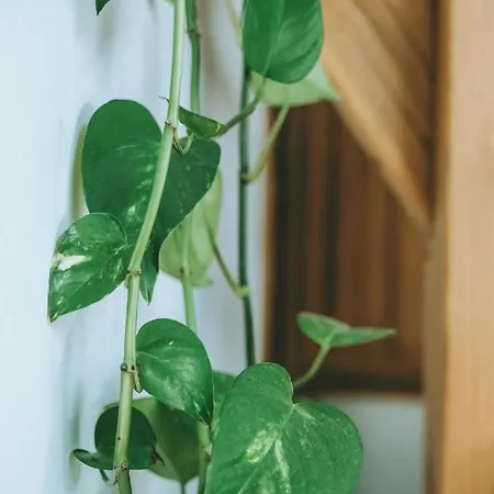 White Loft In The Center Riga