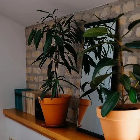 White Loft In The Center Apartment
