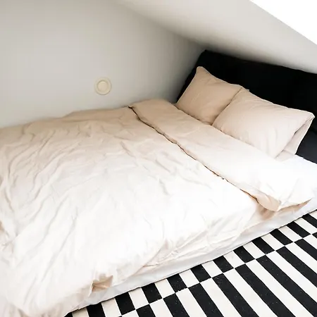 Apartment White Loft In The Center Riga