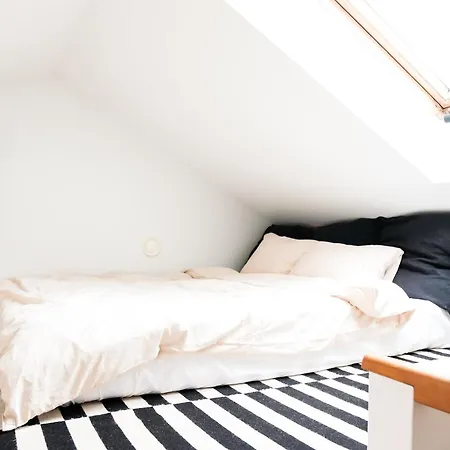 Apartment White Loft In The Center