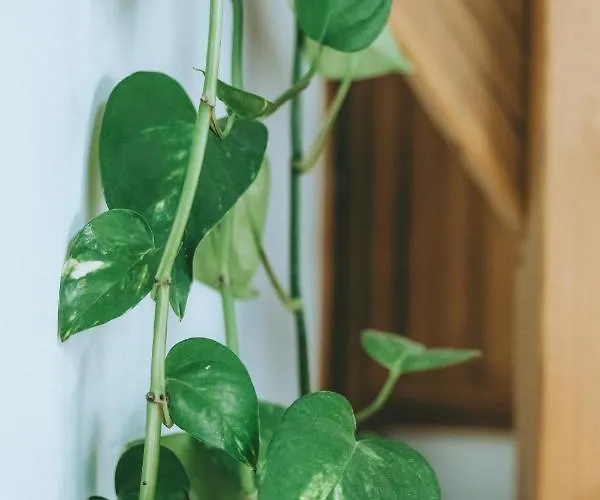 White Loft In The Center Riga