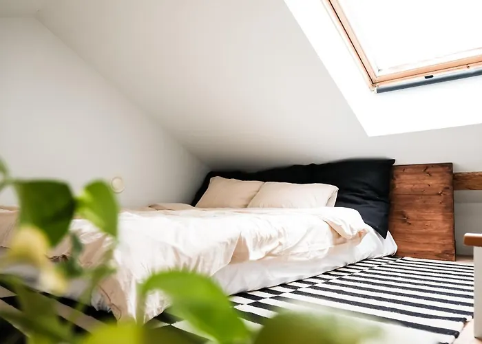 Apartment White Loft In The Center Riga